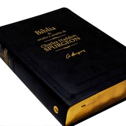 Bíblia de Estudo e Sermões...